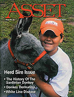 Asset Magazine - Herd Sire Issue