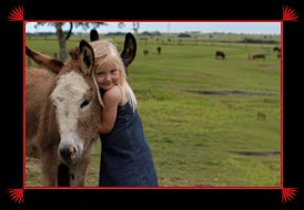Little girl hugging a donkey